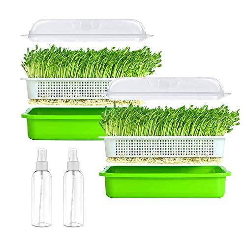 Seed Sprouter Tray Container Wheatgrass Grower Lid Sprouting Bean Mung BPA Free Seed Sprouter Tray Container Wheatgrass Grower Lid Sprouting Bean Mung BPA Free